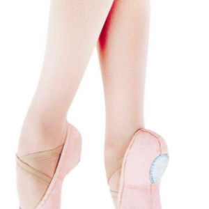 Capezio cobra shop canvas ballet shoes